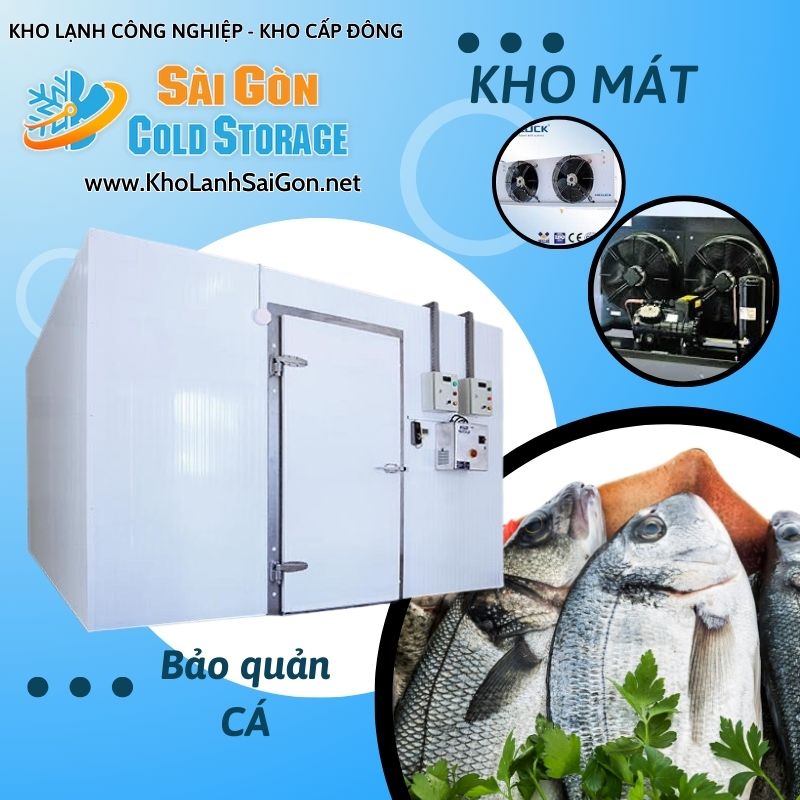 Kho Lạnh Bảo Quản Cá